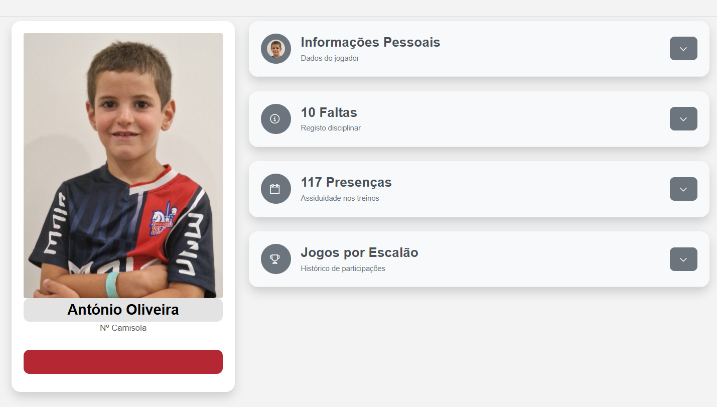Ficha individual de jogador com presenças e faltas